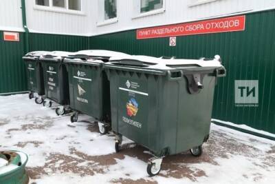 Жители запада Татарстана за новогодние праздники произвели 22 тыс тонн мусора