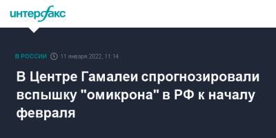 В Центре Гамалеи спрогнозировали вспышку "омикрона" в РФ к началу февраля