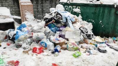 Власти Петербурга были предупреждены о риске возникновения мусорного коллапса