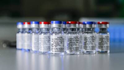 Европейское ЕМА положительно оценило производственные стандарты вакцины «Спутник V»