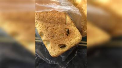 Жительница Воронежа купила на рынке хлеб с запечёнными тараканами