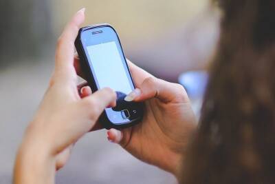 В Курганской области женщина украла телефон у собутыльника