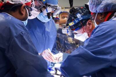 Американские хирурги успешно пересадили человеку генно-модифицированное сердце свиньи