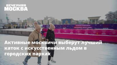 Активные москвичи выберут лучший каток с искусственным льдом в городских парках