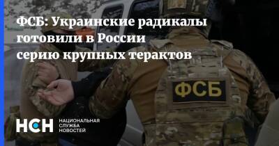 ФСБ: Украинские радикалы готовили в России серию крупных терактов