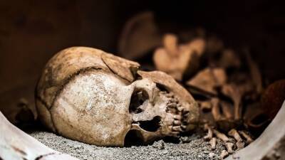 Найдены череп и кости школьницы, которую искали в Нижегородской области девять лет