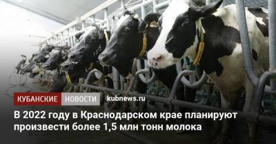 В 2022 году в Краснодарском крае планируют произвести более 1,5 млн тонн молока