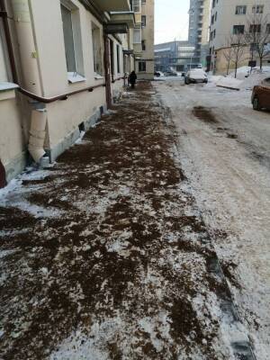 В Петербурге с гололедом борются кардинально, превратив обледенелый тротуар в «клумбу»