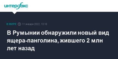 В Румынии обнаружили новый вид ящера-панголина, жившего 2 млн лет назад