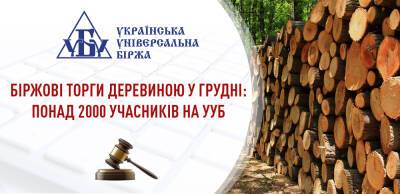 Биржевые торги древесиной в декабре: более 2000 участников на УУБ