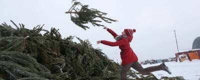 Жители Пущино могут сдать новогоднюю елку на переработку