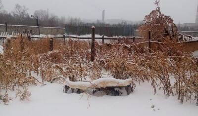 В Башкирии из-за химических выбросов завода БМК пострадал населенный пункт