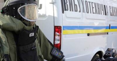 В Одесской области 12-летний мальчик "заминировал" магазин, чтобы посмотреть на спецслужбы