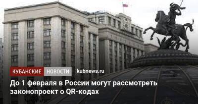 До 1 февраля в России могут рассмотреть законопроект о QR-кодах