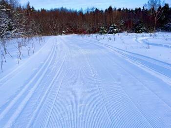 В следующие выходные в Вологодскую область съедутся лыжники со всей страны