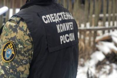 В Нижегородской области СК возобновил расследования дела о безвестном исчезновении девочки в 2013 году