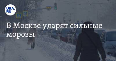 В Москве ударят сильные морозы