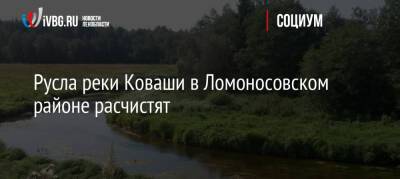 Русла реки Коваши в Ломоносовском районе расчистят
