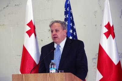 Экс-посол США недоволен тем, как Грузия поддерживает Украину