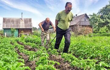 В Беларуси ввели новый налог для огородников