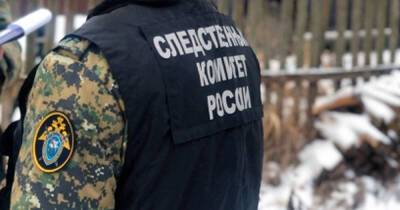 В Нижегородской области снова расследуют пропажу девочки в 2013 году