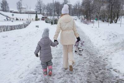 До минус 27 градусов опустится температура в Псковской области 12 декабря
