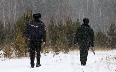 В нижегородском лесу нашли останки пропавшей в 2013 году девочки