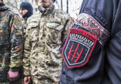 Киев перебросил к линии соприкосновения радикалов