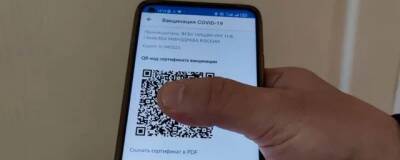 QR-коды с 15 января отменят в Орловской области