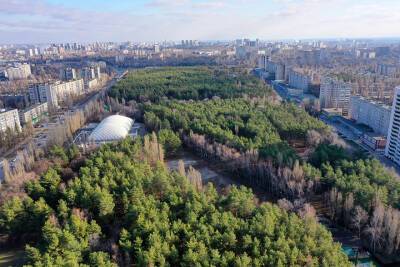 Мэр Воронежа провел переговоры с потенциальным инвестором по реконструкции парка «Танаис»