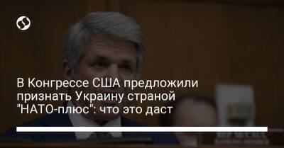 Владимир Путин - Майк Роджерс - В Конгрессе США предложили признать Украину страной "НАТО-плюс": что это даст - liga.net - Россия - США - Украина