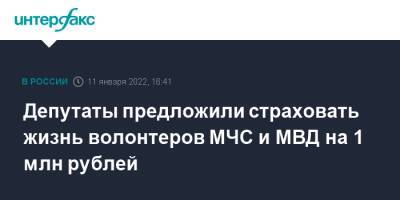 Депутаты предложили страховать жизнь волонтеров МЧС и МВД на 1 млн рублей
