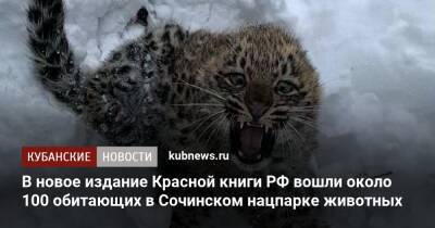 В новое издание Красной книги РФ вошли около 100 обитающих в Сочинском нацпарке животных