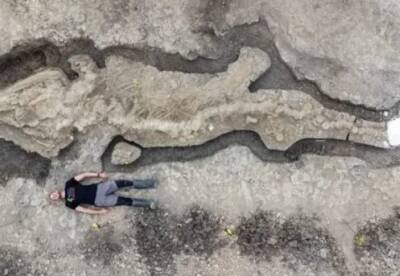 Ученые обнаружили полный скелет древнего ихтиозавра (фото)