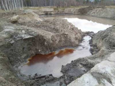 «Зеленые» ищут работу для Ботвинкина на отравленных землях ХМАО. Сотни миллионов ущерба прошли мимо бюджета