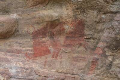 Археологи из Индии нашли пещеру с рисунками первобытных людей возрастом до 700 тысяч лет