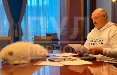 Появилось фото Лукашенко в байке с собственной цитатой