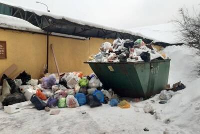 Петербуржцы смогут пожаловаться на вывоз мусора на всероссийском портале