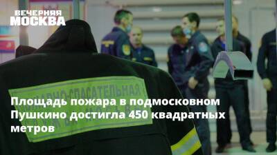 Площадь пожара в подмосковном Пушкино достигла 450 квадратных метров