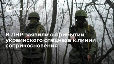 Народная милиция ЛНР заявила о прибытии украинского спецназа к линии соприкосновения