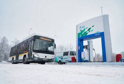 В Ленобласти закупят низкопольные и газомоторные автобусы