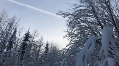 В Украине ожидаются 15-градусные морозы