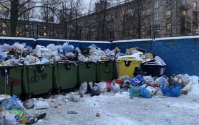 Петербуржцам предоставили возможность жаловаться на горы мусора онлайн