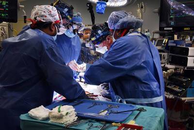 В США мужчине пересадили сердце генно-модифицированной свиньи