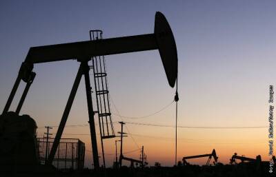 Минэнерго США спрогнозировало рост коммерческих запасов нефти в мире в 2022 и 2023 годах