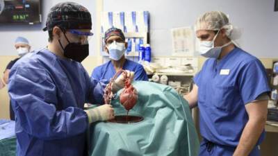 Чудо медицины: мужчине успешно пересадили сердце животного