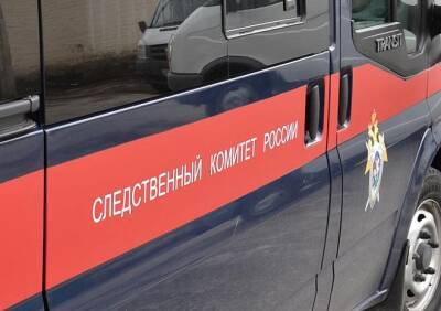 В Люберцах нашли обезглавленное тело женщины - ya62.ru