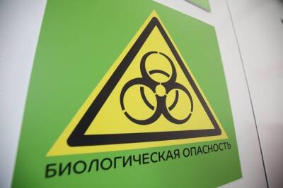 Медики прогнозируют сроки распространения омикрон-штамма в Волгограде