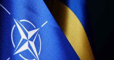 На Украине призвали быстрее вступить в НАТО после событий в Казахстане