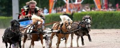 Средневековые боевые кони были величиной с современных пони